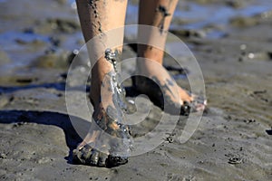 Walking on tidal mudflats