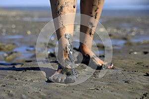 Walking on tidal mudflats