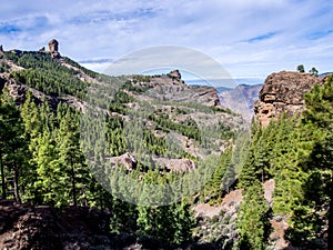 Walking to Pico de las Nieves on Gran Canaria, Canary Islands, Spain