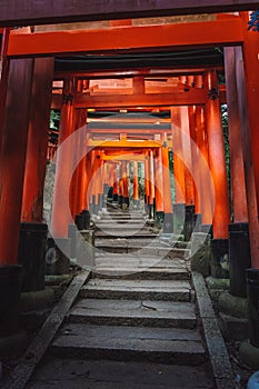 Walking through the torii gates in Fushimi Inari Shrine, Kyoto, Japan.