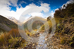 Walking Track in Otira Valley Track, Arthur's Pass, New Zealand