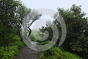 Walking track seen from Sinhagad fort, Maharashtra, Pune