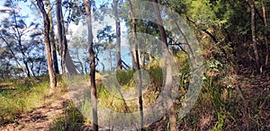 Walking Track on the shore of Lake Macquarie Shore and Beach