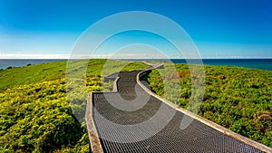 Walking track on top of the Muttonbird Island Nature Reserve in Coffs Harbour, NSW, Australia photo