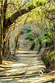 Walking tracks in the Blue Mountains, Australia