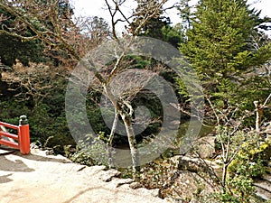 Walking Tracks at Miyajima Island, Hiroshima, Japan