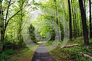 Walking trail