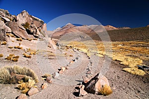 Walking trail in Park Lauca photo