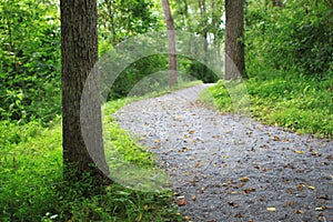 Walking Trail