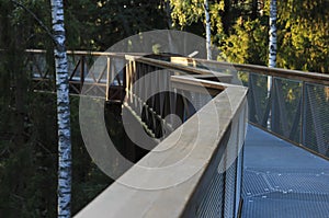 Walking trail above treetops at forest