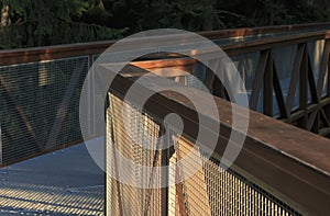 Walking trail above treetops at forest