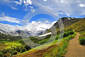 Walking trail in Alaskan mountain