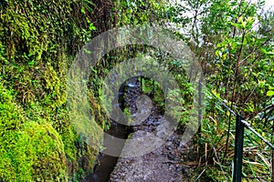 Walking trail along the levadas in the mountains of Madeira, Portugal