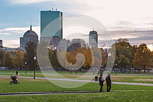 Walking trail in Boston Common park in fall season