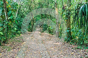 Walking trail in eco-archaeological park Los Naranjos, Hondur photo