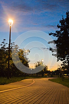 Walking trail in evening park in summer