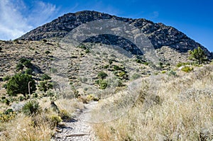 Walking Trail - Guadaloupe Mountains National Park - Texas photo