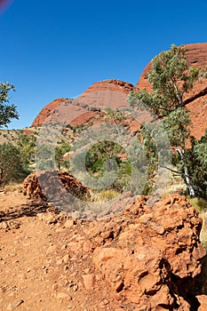 Walking trail through the Kata Tjuta monolits area, Ayers Rock, Red Center, Australia