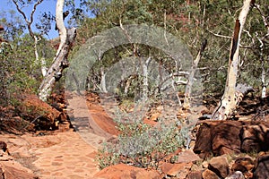 Walking trail in Kings Canyon, Watarrka National Park, Australia