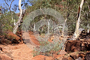 Walking trail in Kings Canyon, Watarrka National Park, Australia photo