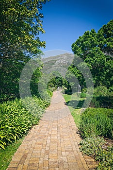 Walking trail in Kirstenbosch botanical garden, Cape Town