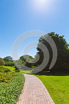 Walking trail in Kirstenbosch botanical garden, Cape Town