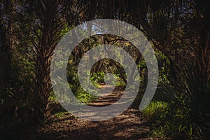 Walking trail at Lake Lotus Park in Altamonte Springs, Florida