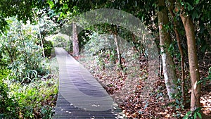 MacRitchie Reservoir