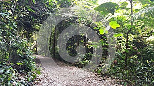 MacRitchie Reservoir