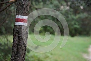 Walking trail marks and signs on trees showing direction for hikers in forest