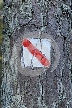 Walking trail marks and signs on trees showing direction for hikers in forest