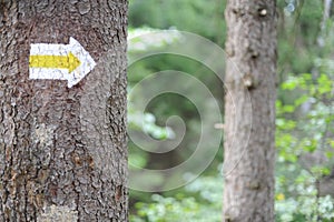 Walking trail marks and signs on trees showing direction for hikers in forest