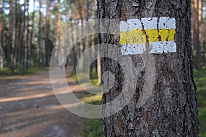 Walking trail marks and signs on trees showing direction for hikers in forest