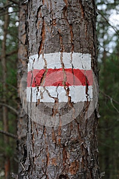 Walking trail marks and signs on trees showing direction for hikers in forest