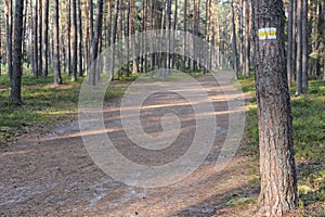 Walking trail marks and signs on trees showing direction for hikers in forest