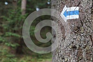 Walking trail marks and signs on trees showing direction for hikers in forest