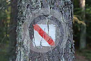 Walking trail marks and signs on trees showing direction for hikers in forest