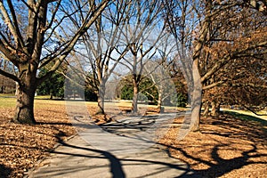 Walking trail in Piedmont Park