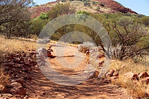 Walking trail in a shade of bushes in Kata Tjuta area, Yulara, Ayers Rock, Red Center, Australia