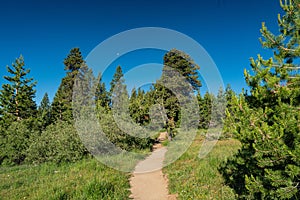 Walking Trail through Sierra Nevada Mountains