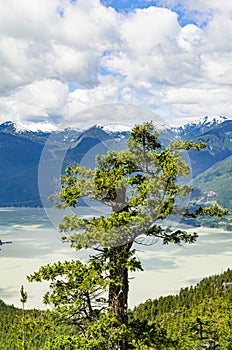 Walking trail with sweeping views of Howe Sound British Columbia