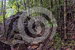 Walking trail in Thai dark tropical forest, Mu Koh Chang National Park, Chang island, Thailand. Path to the Khlong Phlu waterfall