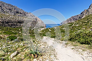 Walking trail to Cala Boquer