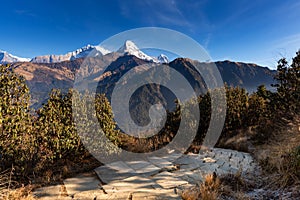 Walking trail to Poon hill view point at Nepal.