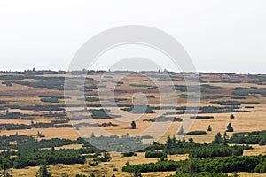 Walking trail to Szrenica, Karkonosze,Panoramic view of the Giant Mountains