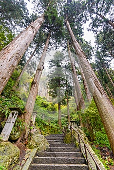 Walking trail to Yamadera Mountain Temple