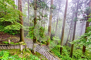 Walking trail to Yamadera Mountain Temple