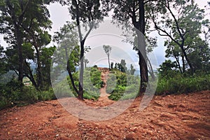 Walking trail in the Western ghats ranges, India