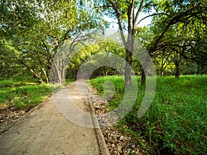 Walking trails in a quiet, serene, peaceful forest park with vibrant green trees and vegetation