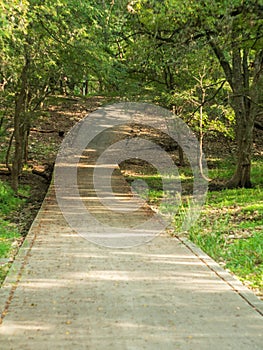 Walking trails in a quiet, serene, peaceful forest park with vibrant green trees and vegetation